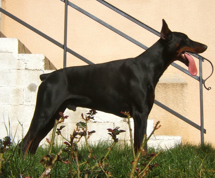 Vito-ridge De la cour de l'eau vive