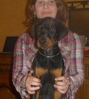 CHIOT